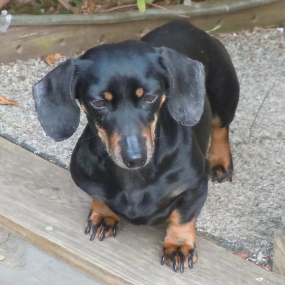 Meet your Posher, Orrin - Picture 10 of 10